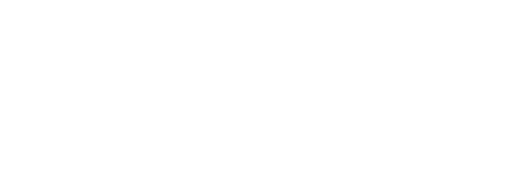 stripe-logo-banner